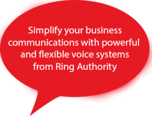 voice over ip service